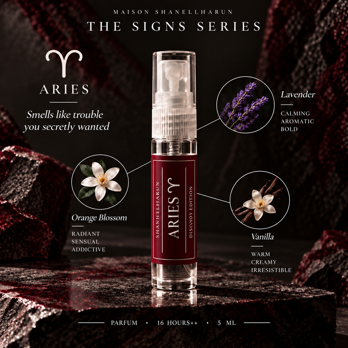 THE SIGNS SERIES